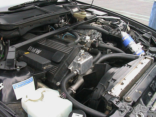 DSC00020